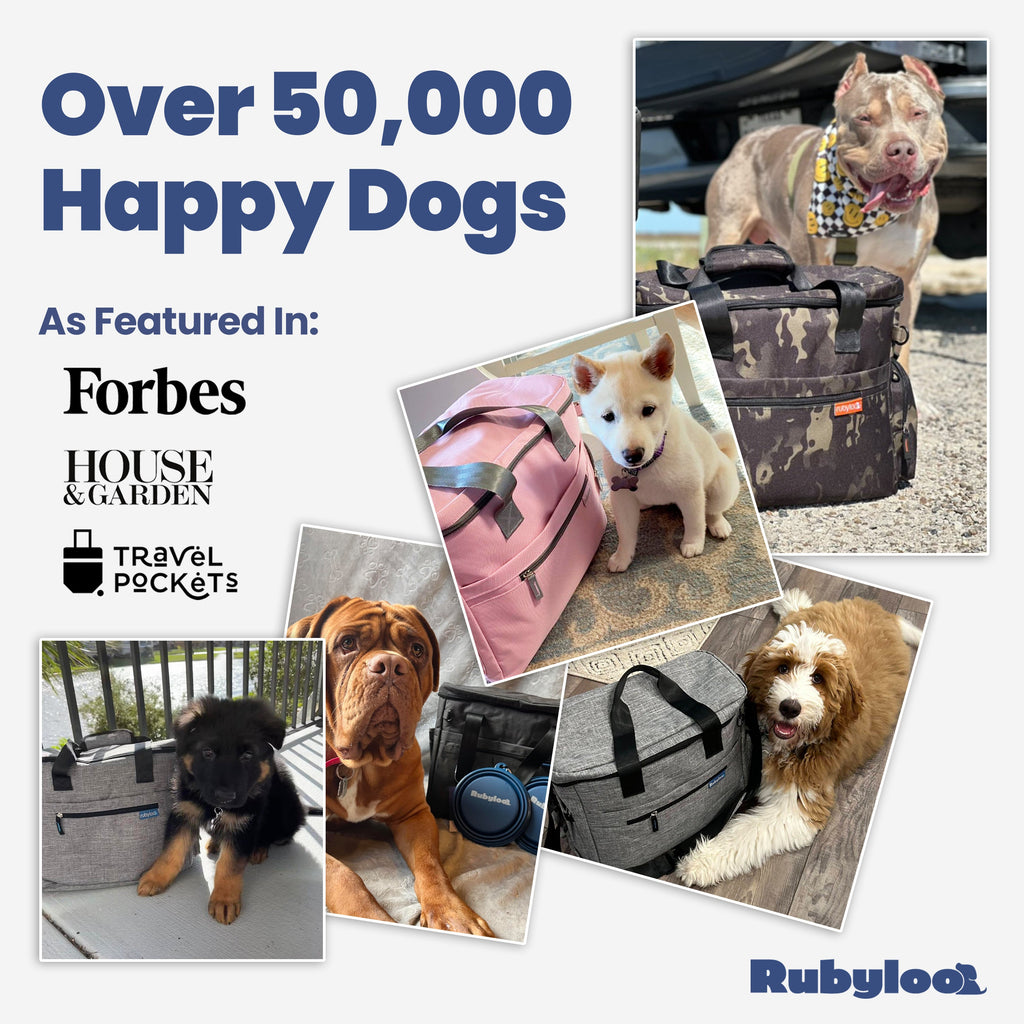 Original Doggy Travel Bag