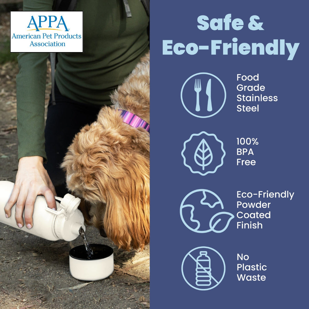 Dog + Human Travel Water Bottle